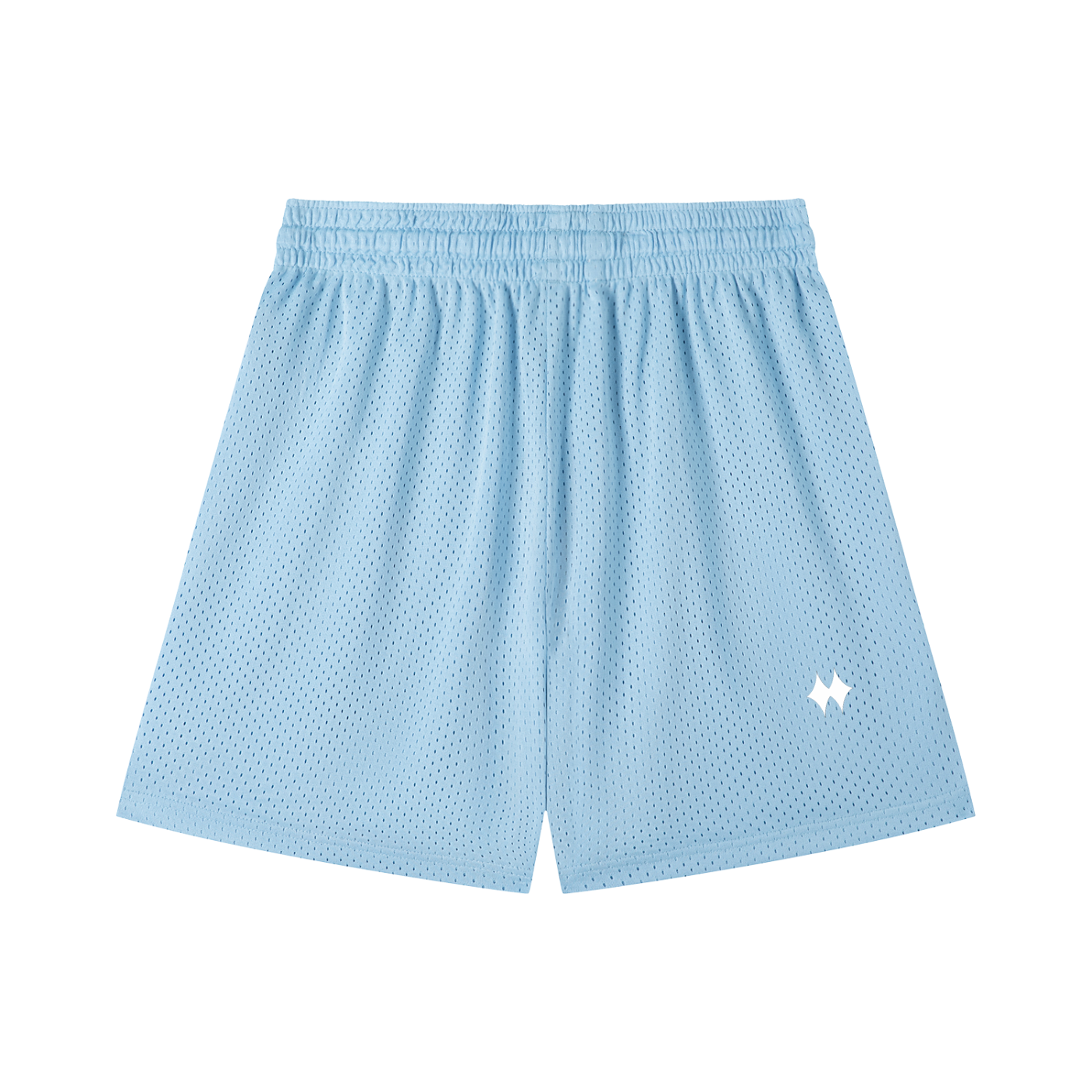 Edition 2 - Mesh Shorts